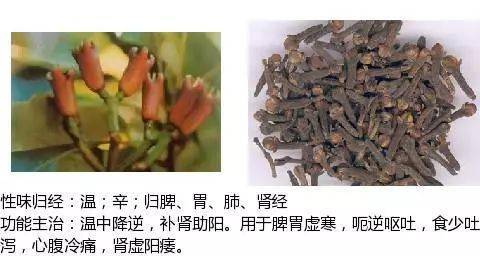 温里药