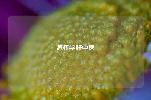 怎样学好中医