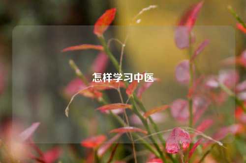 怎样学习中医